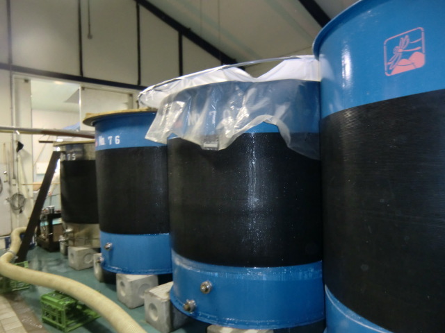 画像maguro00 003.jpg