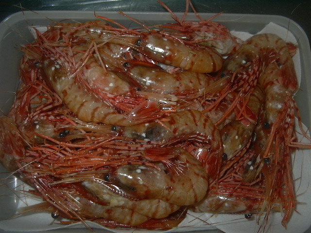 画像maguro00 003botanebi.jpg