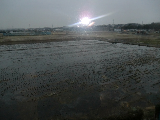 画像maguro00 006.jpg